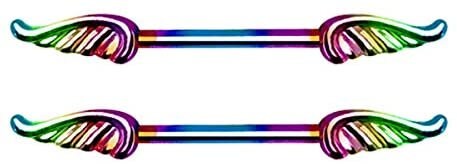 Winged Nipple Bar & Industrial Piercing, Silver, Black And Rainbow Colours